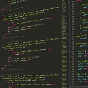 Secure Application Developer 